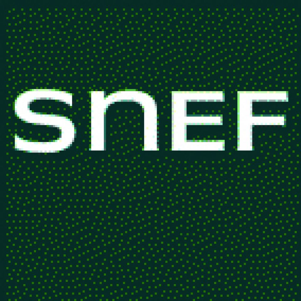 Groupe SNEF